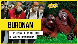 Adelina lis buronan pembalakan liar ditangkap Kejaksaan Tinggi di Singapura