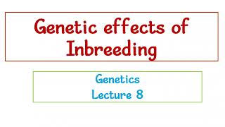 Genetics Effects of Inbreeding / Lecture 8 Genetics