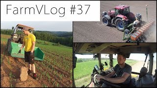 FarmVLOG#37: Mais legen AMAZONE ED 6000 und XCN 1050 Autopilot Motordrive