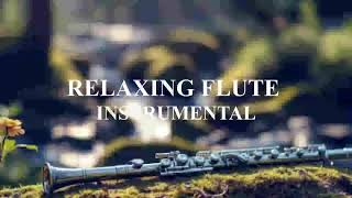 The Best Relaxing Music | Bamboo Flute | Meditation Music - Healing - Sleep Music - Zen ☯2