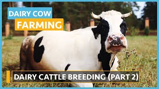 Dairy Cow Farming (Lesson 12) - Dairy Cattle Breeding Part 1