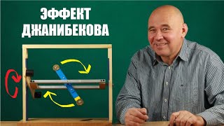 Эффект Джанибекова