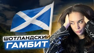 Шотландский гамбит или дебют, c которым ты точно будешь выигрывать!