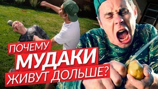 ПОЧЕМУ МУДАКИ ЖИВУТ ДОЛЬШЕ? — ТОПЛЕС