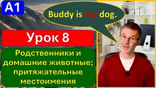 A1, урок 8. Родственники и домашние животные; притяжательные местоимения.