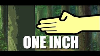 One inch punch (Animation)