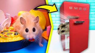 Hamster in the Fridge! What will happen to him? | 7 storey maze fridge - Hamsters Show