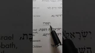 lesson 28 LET'S READ HEBREW!