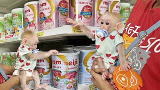 Lucky and the endless love for fragrant milk bottles at the supermarket