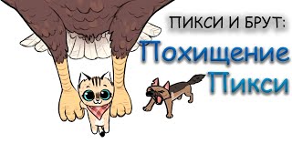 Пикси и Брут | №6 | Похищение Пикси