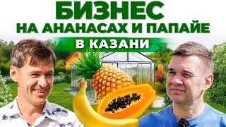 Как выращивать экзотические фрукты зимой в России? Папайя, лимон и ананас | Андрей Даниленко