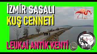 Sasalı Kuş Cenneti | Leukei antik kenti | hiking vlog