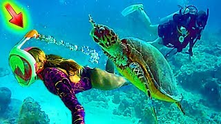 ЛУЧШИЙ ОТПУСК в Египте НА ДНЕ КРАСНОГО МОРЯ + КОНКУРС 30$ / Royal Grand Sharm 5* в ШАРМ ЭЛЬ ШЕЙХ