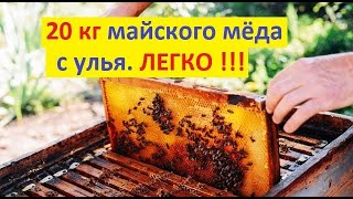 Хотите много майского мёда на пасеке? Тогда нужно пожертвовать пчёлами и расплодом. Забираем матку