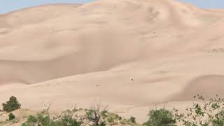 It looks so soft ❣️ HUGE sand mountains at Great Sand Dunes National Park THE DOTS ARE PEOPLE  6860