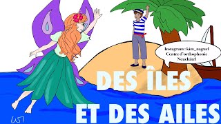 Des îles et des ailes