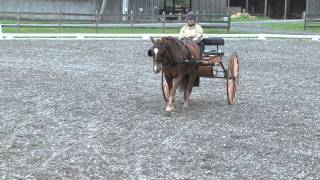 Norma Katz Dressage GMHA 2 Phase 5-2013