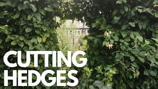 Cutting Hedges