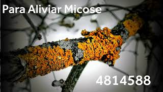 Para Aliviar Micose com os Números Grabovoi - 4814588