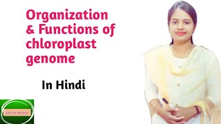 Organization & Functions of chloroplast genome | Chloroplast genome | In Hindi | by Onee gupta