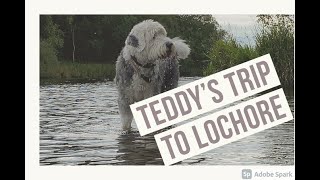 Teddys trip to Lochore