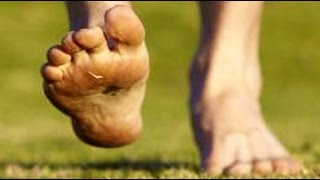 My Personal MD: The Controversy Over Barefoot Running | Podiatry