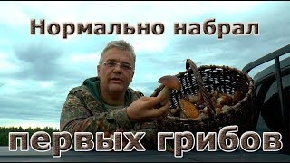 Нормально набрал первых грибов!