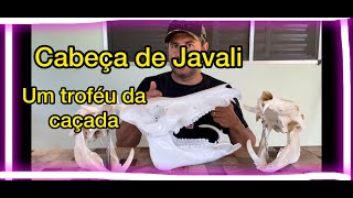 Cabeça de Javali - Um troféu da caçada