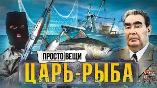 РЫБА: История открытий / Простовещи / МИНАЕВ