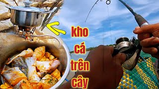 Săn Cá Lăng Những Ngày Nước Cạn / Thưởng Thức Món Cá Lăng Kho Trên Cây