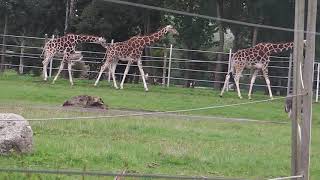 Jaderberg - Tier- und Freizeitpark