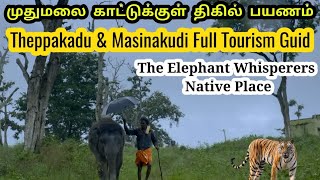 மசினகுடி சுற்றுலா | Masinagudi Jeep Safari | Mudhumalai Tiger Reserve |#masinagudi_tourist_places