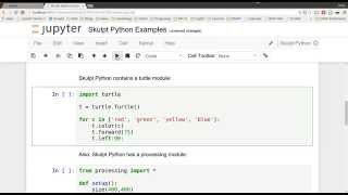 Skulpt Python as a Jupyter Notebook