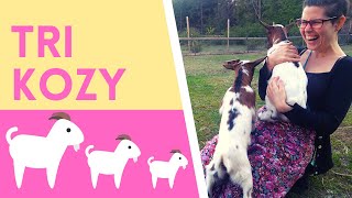 Learn Slovak with Stories: Tri kozy