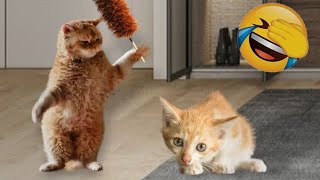 🤣 You Laugh You Lose 😸 Funny Animal Moments 2024 ❤️