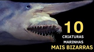 OS 10 MAIS BIZARROS DOS MARES!!!