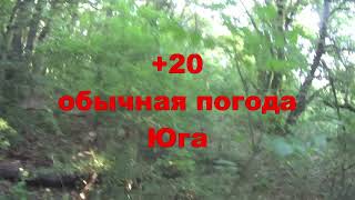 Нагонка гончих Заяц обманул гончих  12.09.2021 Крымск