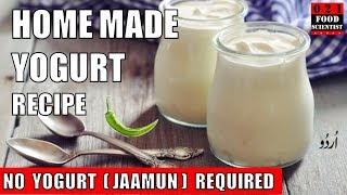 How To Make Yogurt DAHI at Home Without Starter Culture دہی بغیر جامن