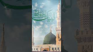 Lahu Se Kiya Jis Ne Islam Zinda.. | Manqabat E Husain| #QariRiyazuddin | #Naat Collections