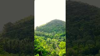 Hiking Up In The Mountains | Cebu Philippines #provincelife  #cebuphilippines #hike #tropical