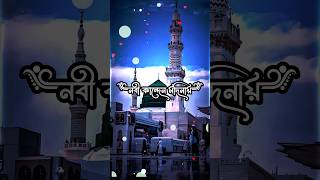 নবী কান্দেন মদিনায় শুধু উম্মতের মায়ায় | Islamic 4K status video | Islamic Naat status #viral