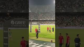 Los suplentes del Mallorca se retiran al vestuario tras calentamiento. Betis-Mallorca. 23-09-24