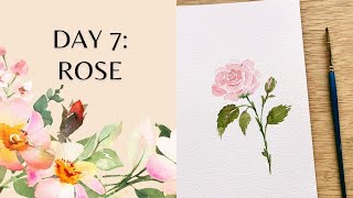 Day 7 - Watercolor Rose