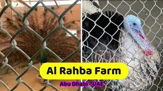 Al Rahba Farm  | A Quick Tour | Abu Dhabi