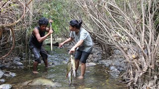 Find food to feed their lives In Life Adventure