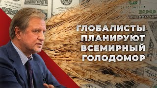 Всё идёт по глобальному плану: от войны к голоду