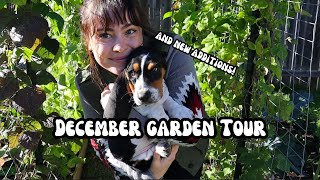 December Garden Tour | Abundant Fall and Winter Garden