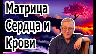 Мощная Матрица Гаряева Очищение Сердца и Крови