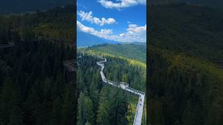 Treetop Walk, Slovakia🇸🇰   #youtubeshorts #nature #travel #shorts #hiking #landscape #slovakia