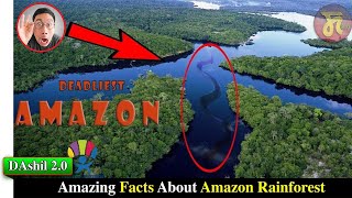 Amazon Forest ta Leiba Green Anaconda || DAshil 2.0 || Credit-ZemTV